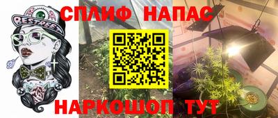 прущие грибы Малоярославец