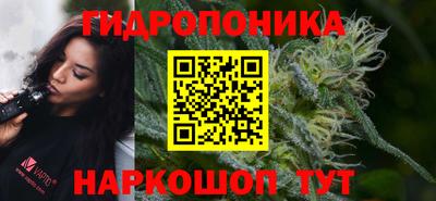 прущие грибы Малоярославец