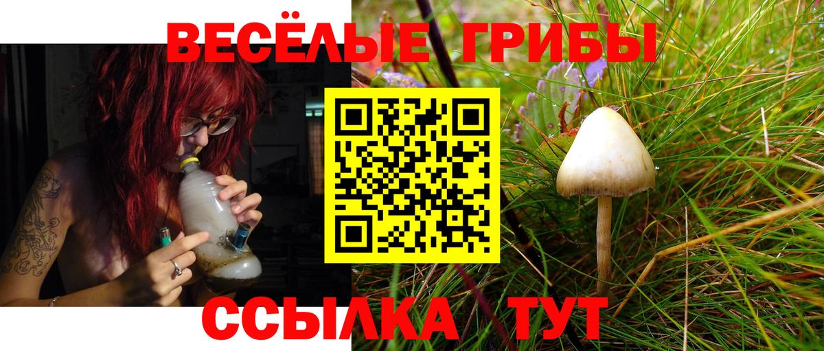 Псилоцибиновые грибы прущие грибы  Вход с VPN  Губкинский 