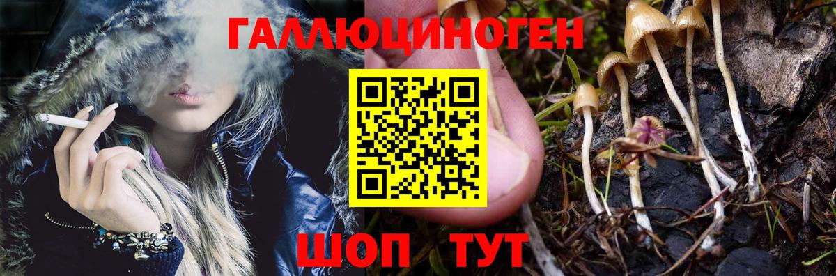 Псилоцибиновые грибы мухоморы Губкинский